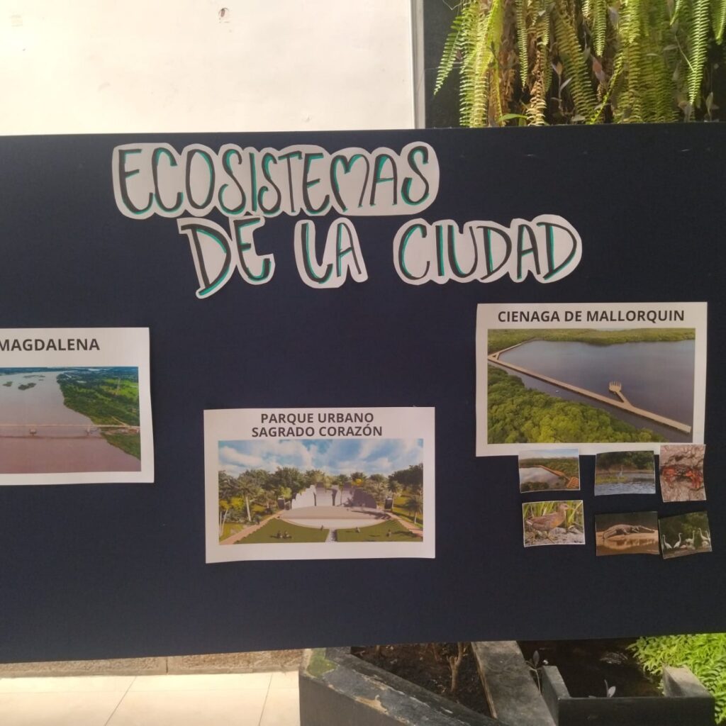 Experiencia Material pedagógico sobre los ecosistemas de la ciudad, usado en las jornadas ambientales.