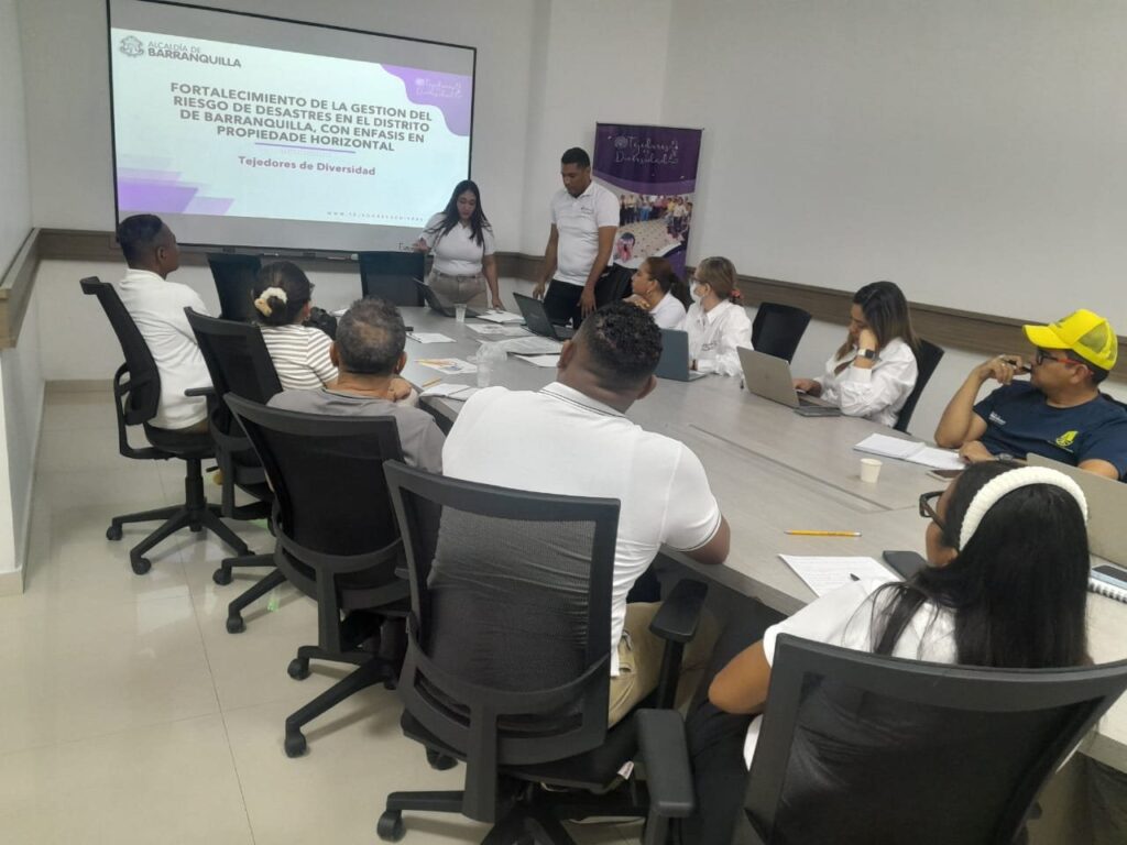 Experiencia Mesa técnica de trabajo del proyecto de gestión del riesgo.
